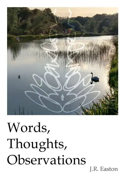 Words, Thoughts, Observations book cover